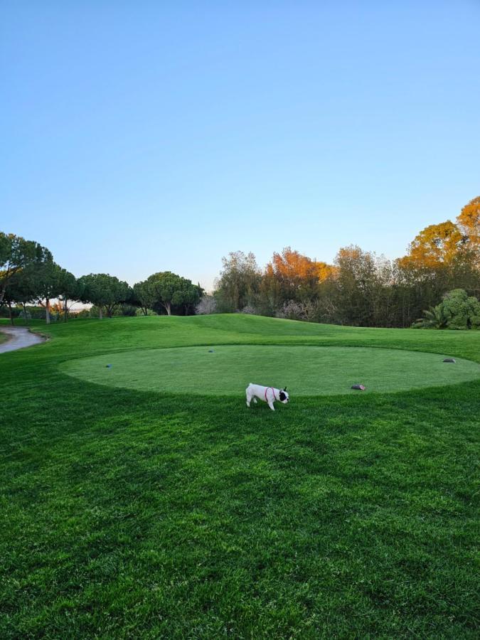 Citadela I, Golfe, Pool And Falesia Beach Vilamoura Luaran gambar